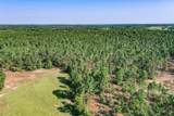 140 Acres State Highway 21 E - Photo 28