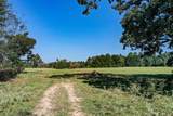 140 Acres State Highway 21 E - Photo 5