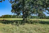 140 Acres State Highway 21 E - Photo 7