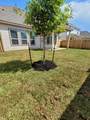 4325 Mcgregor Bluff Lane - Photo 25