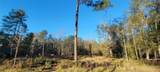 3411 Roman Forest Blvd - Photo 5