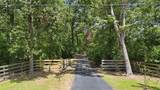 10695 White Rock Road - Photo 42