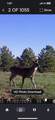 TBD Pr 1316 - Photo 11