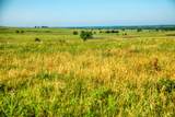 5005 Fuchs Rd - Lot 3 - Photo 7
