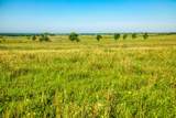 5005 Fuchs Rd - Lot 3 - Photo 8