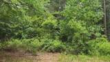 Lot 14 Basswood Lane - Photo 14