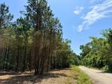 0 Sunflower Road - Photo 9