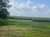 10815 Koym Road - Photo 1