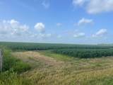 10815 Koym Road - Photo 4