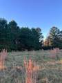 251 Pr 7701 - Photo 10