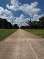 652 Pony Trail - Photo 5