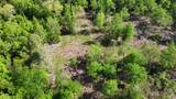1648 Timber Road 23 - Photo 7