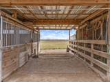 12229 Dannhaus Road - Photo 39