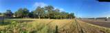 2273 Earl Rudder Freeway - Photo 2