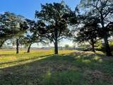 2273 Earl Rudder Freeway - Photo 6