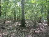 TBD Upper Leggett Road - Photo 9