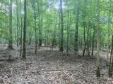 TBD Upper Leggett Road - Photo 10