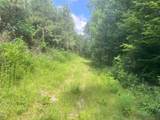 TBD Upper Leggett Road - Photo 17