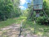 TBD Upper Leggett Road - Photo 18