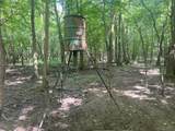 TBD Upper Leggett Road - Photo 20