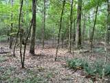 TBD Upper Leggett Road - Photo 6
