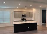 24019 Hawthorn Lakes Drive - Photo 7
