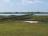 Lot 425 Vineyard Bay - Photo 15