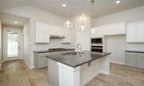 707 Lacebark Elm Trail - Photo 5