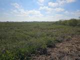 0 San Jose Ranch Road - Photo 14
