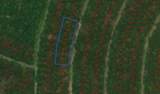 TBD Wood Forest - Photo 1