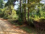 TBD Ole Long Pull Road - Photo 7