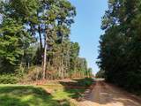 TBD Ole Long Pull Road - Photo 9
