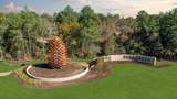 12744 Copperbush Drive - Photo 3