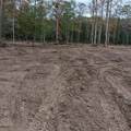 Lot 22 Plum Pudding Road - Photo 1