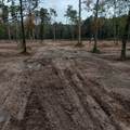 Lot 22 Plum Pudding Road - Photo 4