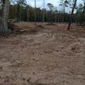Lot 22 Plum Pudding Road - Photo 6