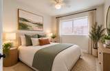 9843 Ribbonwood Street - Photo 16