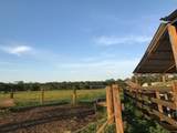 0 County Road 2178 - Photo 13