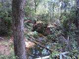 29924 Nichols Sawmills - Photo 4