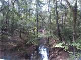 29924 Nichols Sawmills - Photo 5
