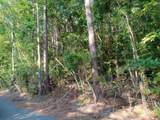 0 Piney Lane - Photo 3