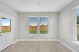 2930 Belle Tree Lane - Photo 6