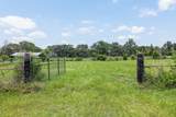 15126 Pr 4460 - Photo 11