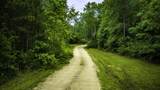 461 Fm 980 - Photo 41
