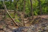 Tract 5 Sun Oil Road - Photo 11