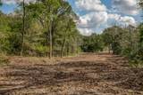 Tract 5 Sun Oil Road - Photo 17