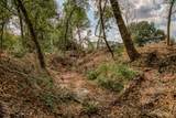 Tract 5 Sun Oil Road - Photo 9