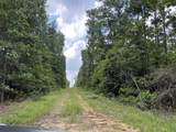 0040 County Road 302 - Photo 10