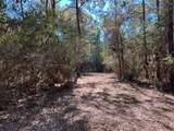 0040 County Road 302 - Photo 21
