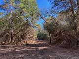 0040 County Road 302 - Photo 22